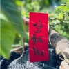 Tag đỏ chữ thư pháp ngẫu nhiên, nhiều size, treo trang trí Tết 2.026, chỉ 29.998 VND 8