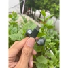 Tai nghe HTC U11U12Evo 10 Ultra chính hãng - Chống ồn chủ động, giảm giá 350k 5