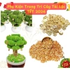 Tặng bao lì xì Set Cây Tài Lộc Handmade Kẽm Nhung, Giá chỉ 11.900₫ 2