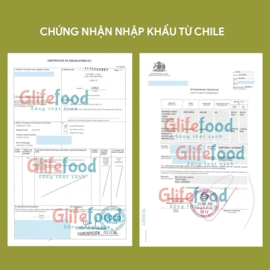 Tảo Ống Chile 500gr Túi - Giảm giá 290.000đ, giàu protein, chất dinh dưỡng cao, tươi ngon, hỗ trợ sức khỏe 3