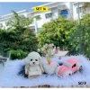 Taplo Chú Cún Clever Dog Đầu Lắc Lư Gắn Pha Lê Dễ Thương Giảm Giá Tới 129k 6