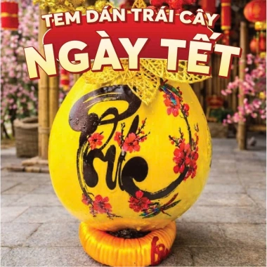 Tem Dán Trái Cây Ngày Tết Cao Cấp - Trang Trí Mâm Ngũ Quả Đẹp, Giá 12.600₫ 9