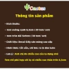 Tem Tết đa dạng - Tem chúc mừng Năm Mới, tem dán bánh kẹo - Giá chỉ 25.000đ 4