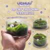 Terrarium Lọ Cây Thuỷ Sinh UCHUU Mini Bể Rêu DIY Trang Trí Bàn - Giá 125k