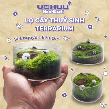 Terrarium Lọ Cây Thuỷ Sinh UCHUU Mini Bể Rêu DIY Trang Trí Bàn - Giá 125k