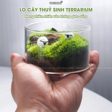 Terrarium Lọ Cây Thuỷ Sinh UCHUU Mini Bể Rêu DIY Trang Trí Bàn - Giá 125k