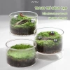 Terrarium Lọ Cây Thuỷ Sinh UCHUU Mini Bể Rêu DIY Trang Trí Bàn - Giá 125k 3