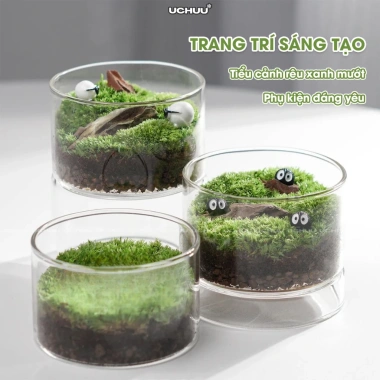 Terrarium Lọ Cây Thuỷ Sinh UCHUU Mini Bể Rêu DIY Trang Trí Bàn - Giá 125k