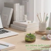Terrarium Lọ Cây Thuỷ Sinh UCHUU Mini Bể Rêu DIY Trang Trí Bàn - Giá 125k 5