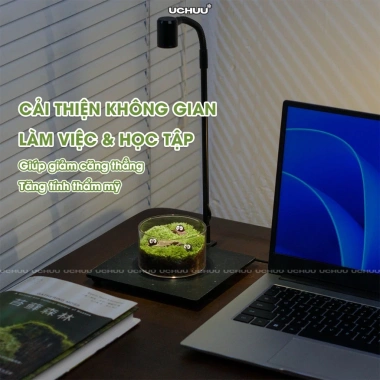 Terrarium Lọ Cây Thuỷ Sinh UCHUU Mini Bể Rêu DIY Trang Trí Bàn - Giá 125k 6 Terrarium Lọ Cây Thuỷ Sinh UCHUU Mini Bể Rêu DIY Trang Trí Bàn - Giá 125k 6
