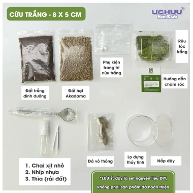 Terrarium Lọ Cây Thuỷ Sinh UCHUU Mini Bể Rêu DIY Trang Trí Bàn - Giá 125k