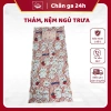 Thảm Mùa Hè Đa Năng, Nệm Ngủ Trưa Văn Phòng Gấp Gọn Loại 1 - Giá chỉ 82.950 VND