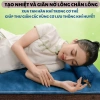Thảm Ngải Cứu Điện 10 Cấp Độ Chườm Cóng Bằng, Loại Bỏ Hàn Khí, Giảm Đau Mỏi, Ngủ Ngon - Giá 600.000đ 3