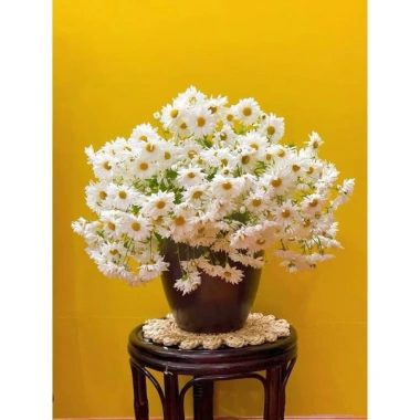 Thảm vỏ ngô đan tay 25-30cm decor treo tường, lót bình hoa, giá ưu đãi 45.000₫