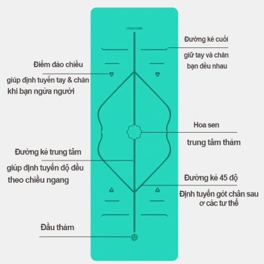 Thảm Yoga Định Tuyến Dododios Cao Cấp - Chọn Size, Túi Dây Đựng, Giá Ưu Đãi 134k