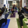 Thảm Yoga Định Tuyến Dododios Cao Cấp - Chọn Size, Túi Dây Đựng, Giá Ưu Đãi 134k 7