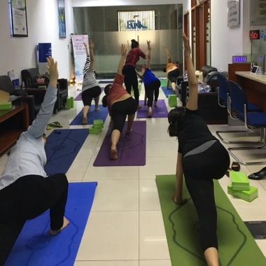 Thảm Yoga Định Tuyến Dododios Cao Cấp - Chọn Size, Túi Dây Đựng, Giá Ưu Đãi 134k