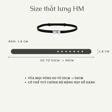Thắt lưng đai váy nữ da bản nhỏ TL02 – Khóa kim loại sang trọng, công sở, giá chỉ 35.338 VND