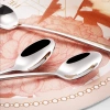 Thìa Cà Phê Thép Không Gỉ 304 Tay Cầm Dài, Đa Năng Thìa Nĩa Thìa Đá, Giá 42.386 VND 7