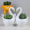 Thiên Nga sứ cắm hoa bày mâm thôi nôi - Chậu sứ trồng cây A035, giá chỉ 45.000 VND