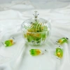 Thố Đựng Hạt Dưa Vinh Nam Nhựa PS Trong Suốt Sang Trọng - Giá 25.000đ 8