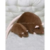 Thú Nhồi Bông Chuột Đuôi Dài 55cm - Gấu Bông Ngộ Nghĩnh Đáng Yêu, Quà Tặng Cute 4