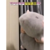 Thú Nhồi Bông Chuột Đuôi Dài 55cm - Gấu Bông Ngộ Nghĩnh Đáng Yêu, Quà Tặng Cute 6