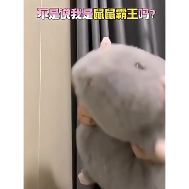 Thú Nhồi Bông Chuột Đuôi Dài 55cm - Gấu Bông Ngộ Nghĩnh Đáng Yêu, Quà Tặng Cute