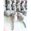 Thú Nhồi Bông Chuột Đuôi Dài 55cm - Gấu Bông Ngộ Nghĩnh Đáng Yêu, Quà Tặng Cute 9