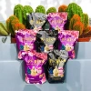 Thùng 7 túi Nước Giặt Xả Paris 7x1.700ml - Đậm đặc hương nước hoa Pháp, lưu hương dài lâu, giảm giá 119k