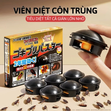 Thuốc Diệt Gián Nhật Bản 12 Viên Không Mùi An Toàn cho Trẻ Em, Vật Nuôi - 27.000đ 4