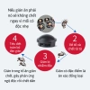 Thuốc Diệt Gián Nhật Bản 12 Viên Không Mùi An Toàn cho Trẻ Em, Vật Nuôi - 27.000đ 8
