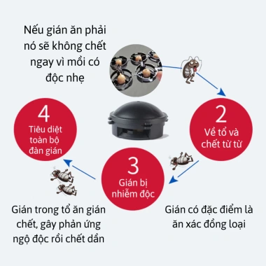 Thuốc Diệt Gián Nhật Bản 12 Viên Không Mùi An Toàn cho Trẻ Em, Vật Nuôi - 27.000đ 8