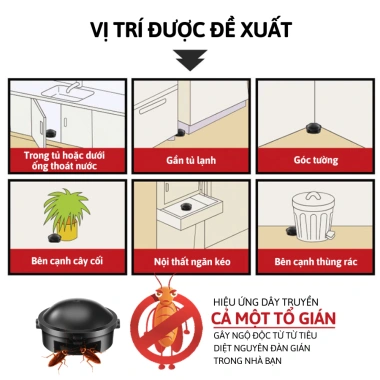 Thuốc Diệt Gián Nhật Bản 12 Viên Không Mùi An Toàn cho Trẻ Em, Vật Nuôi - 27.000đ 9