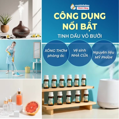 Tinh Dầu Bưởi Nguyên Chất VUATINHDAU 10ml-30ml-50ml - Xông Phòng, Thơm Xe, Giảm Say, Giá chỉ 77.000₫ (Giảm từ 96.250₫) 5 Tinh Dầu Bưởi Nguyên Chất VUATINHDAU 10ml-30ml-50ml - Xông Phòng, Thơm Xe, Giảm Say, Giá chỉ 77.000₫ (Giảm từ 96.250₫) 5