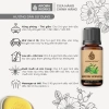 Tinh Dầu Chống Say Xe Aroma Works - Khử Mùi Hôi, Giảm 23% Chỉ 149.000₫ 4
