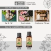 Tinh Dầu Chống Say Xe Aroma Works - Khử Mùi Hôi, Giảm 23% Chỉ 149.000₫ 6