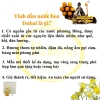 Tinh dầu Dubai đá vàng 15ml - Thơm lâu 24h, chai lăn 15ml tiết kiệm, giá sỉ 99k 4