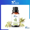 Tinh dầu Nhũ Hương 20ml giảm say tàu xe, chống hôi miệng, ngừa sâu răng - Thảo dược Hạnh Nguyên 35.000đ