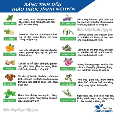 Tinh dầu Nhũ Hương 20ml giảm say tàu xe, chống hôi miệng, ngừa sâu răng - Thảo dược Hạnh Nguyên 35.000đ 5