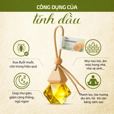 Tinh Dầu Organic Cam Ngọt 8ml - Khử mùi, thơm phòng, thơm ô tô, chống say xe