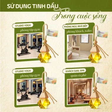 Tinh Dầu Organic Cam Ngọt 8ml - Khử mùi, thơm phòng, thơm ô tô, chống say xe