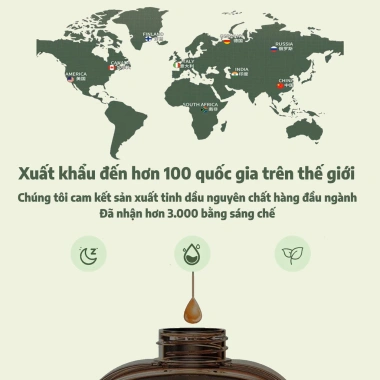 Tinh dầu thơm phòng 260ml - dung tích lớn tặng đầu vòi nhọn đa dạng mùi hương giá gốc 53.880đ chỉ 44.900đ
