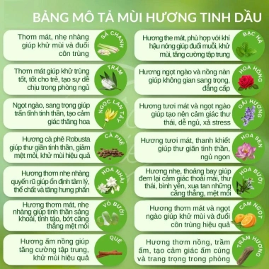 Tinh dầu treo xe ô tô khử mùi, chống say, hương sả chanh cafe - 38.000₫ 6