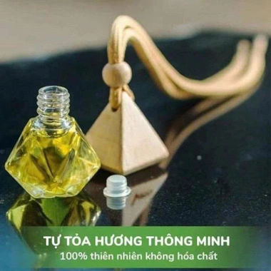 Tinh dầu treo xe ô tô khử mùi, chống say, hương sả chanh cafe - 38.000₫ 8