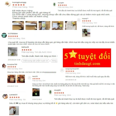 Tinh Dầu Treo Xe Ô Tô Khử Mùi, Chống Say Xe, Hương Thơm Tự Nhiên - Giá 12.000 VND