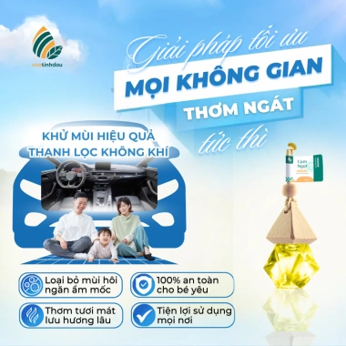 Tinh Dầu Treo Xe Ô Tô VUATINHDAU 10ml - Khử Mùi, Giảm Say, Hương Thơm Tự Nhiên, 65.000 VND