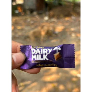 Top Date Tháng 01/2.027 Socola Cadbury Dairy Milk 81g 18 viên 4,5g Vị Sữa Hàng Anh Quốc Giá chỉ 56.693 VND