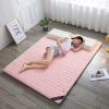 Topper đệm gấp gọn du lịch và văn phòng - ngủ thoải mái, nhẹ, dễ mang 3