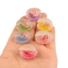 Trang trí hồ cá mini: sinh vật biển, cây mini, sen đá – Giá chỉ 2.000đ 2
